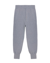 Load image into Gallery viewer, Balboa Embroidered Grey Jogger
